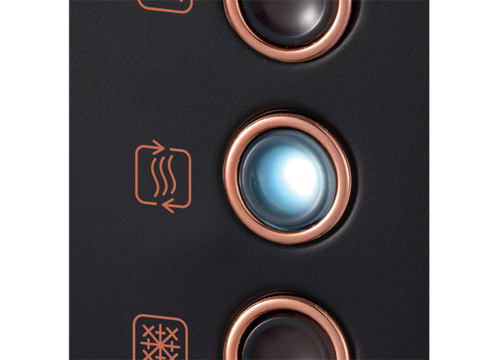 Accents Rose Gold 4-Slice Toaster Black